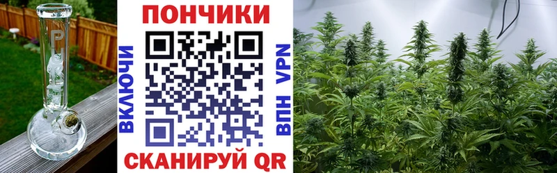 Бошки марихуана семена даркнет сайт Минеральные Воды